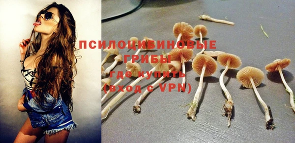 трава Вязники