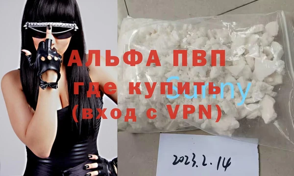 ПСИЛОЦИБИНОВЫЕ ГРИБЫ Туринск